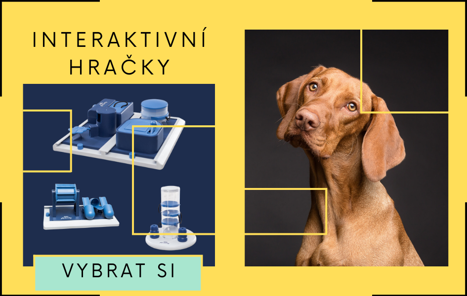 Interaktivní Hračky